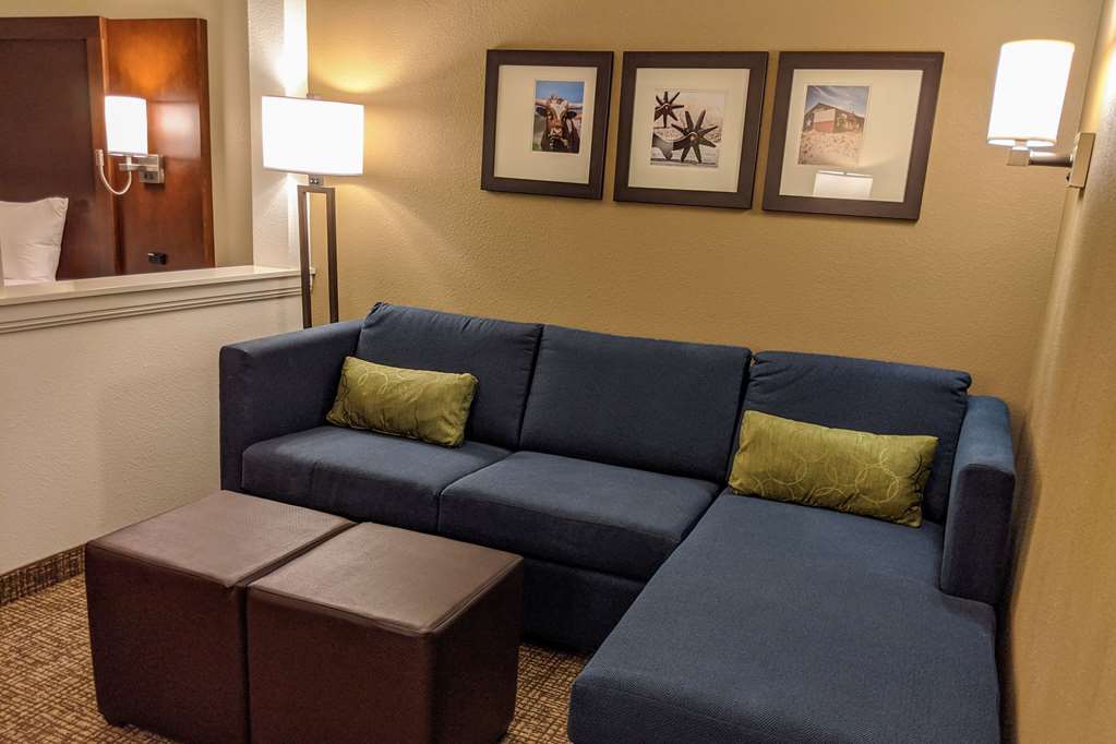 Comfort Suites San Antonio Ft Sam Houston-Sammc Area Номер фото