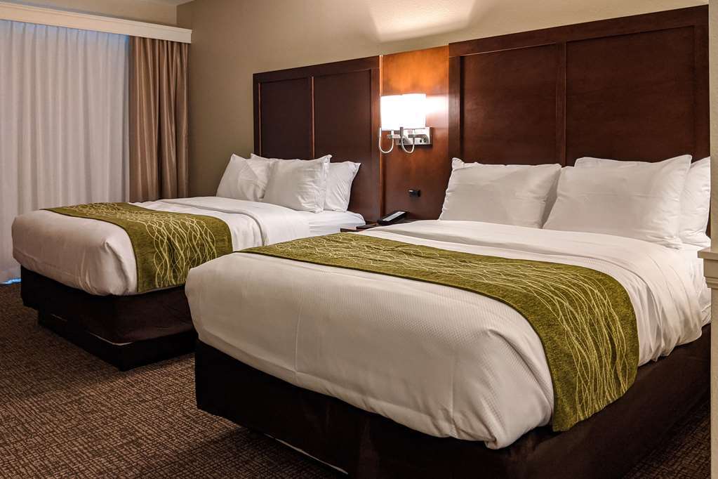 Comfort Suites San Antonio Ft Sam Houston-Sammc Area Номер фото